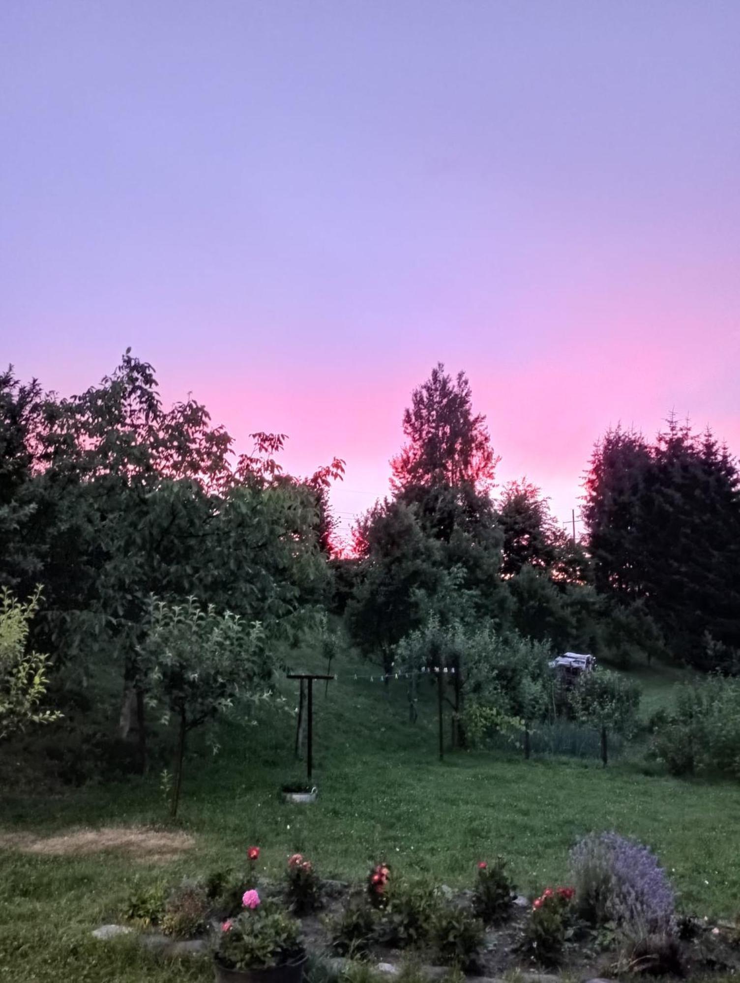 Pensiunea Dates Cîrţişoara Exterior foto